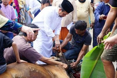 5 Larangan Islam dalam Berkurban, Yang Kurban Tahun ini Wajib Tahu!