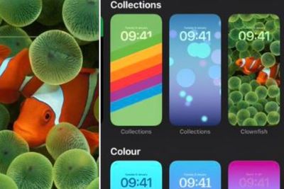 Wallpaper Clownfish di iPhone bakal Hadir Kembali, Ada yang Notice?