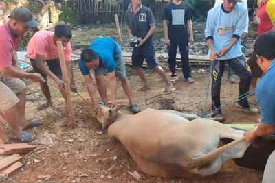 Tradisi Unik Idul Adha Orang Madura, Warga Kangean yang Makan Daging Setahun Sekali