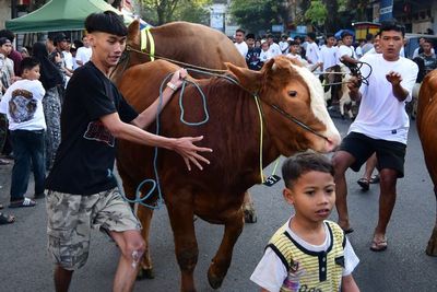Ritual Unik Hewan Kurban Diarak Keliling Kampung Sebelum Disembelih, Apa Tujuannya?