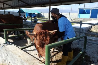 Sembilan Tahun Mangkrak, RPH Ponorogo Akhirnya Digunakan! Bikinnya Habiskan Dana Rp8,5 M