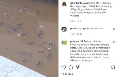 Viral Ribuan Ikan Sapu-sapu Mati Mengapung di Kali Baru, Riza Patria Buka Suara