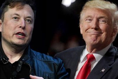 Elon Musk Batal Beli Twitter Jadi Kabar Baik buat Donald Trump, Ada Apa?