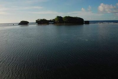 Melihat Keindahan Bawah Laut Wakatobi yang Buat Dunia Jatuh Hati