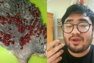 Viral Babat Dipenuhi Cacing Merah, Begini Penjelasan Chef Nausa