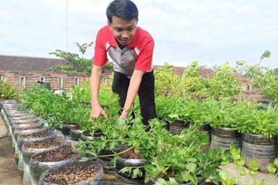 Salut! Guru SMK Bertani Sayur di Atap Rumah, Hasil Panennya untuk Sedekah!