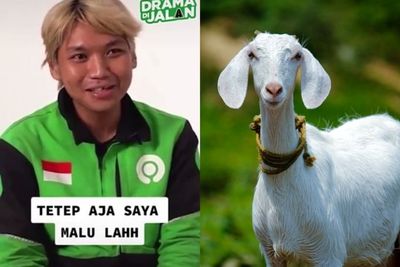 Kisah Driver Ojol yang Malu karena Bawa Dua Kambing, Jadi Bahan Tertawaan Orang-Orang