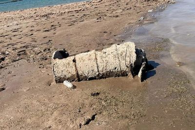 Mayat dalam Tong hingga Kapal Perang Muncul di Danau Mead di Amerika yang Mengering