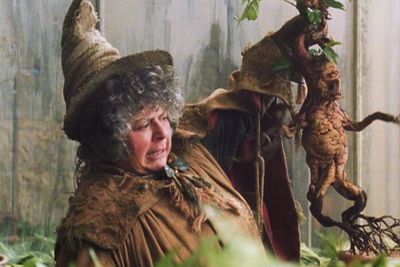 Kocak! Pemeran Harry Potter Wajahnya Sengaja Dikentutin Aktor Ini saat Syuting