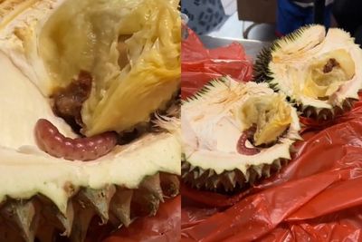 Viral Ulat Besar dari Daging Durian Musang King, Wanita Ini Langsung Syok