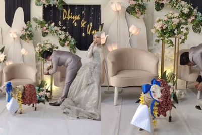 Gokil, Pengantin ini Dihadiahi Kambing yang Diikat di Pelaminan, Katanya Buat Aqiqahan