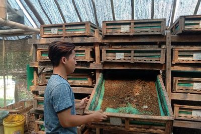 Tak Biasa! Pemuda Ini Jadikan Belatung Sebagai Ladang Bisnis, Cuannya Gak Disangka!