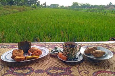 Mirip Kopi Klotok Yogya, Ini Pawon Gebyok Sajikan Menu Ndeso dengan Pemandangan Sawah