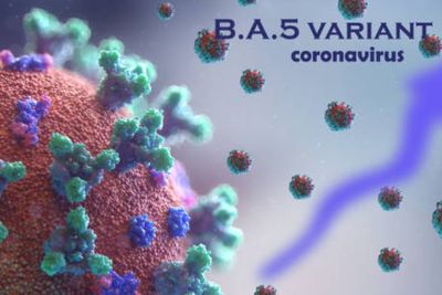 Waspada! Kasus COVID-19 Masih Tinggi, Gejala Awal Omicron Ternyata Bukan Demam