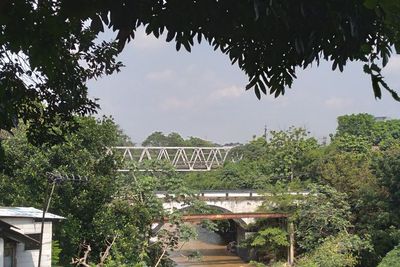 Jembatan Ini Dibangun Memakai Putih Telur dan Tanpa Besi, Konon Banyak Kisah Mistisnya