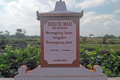 Tak Ada yang Berani Menanam Pohon Pisang di Dusun Ini, Melanggar Kutukan Sekeluarga Mati!