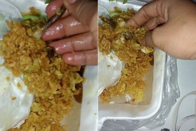 Waduh! Wanita Ini Syok Beli Ayam Geprek Diduga Daging Tikus, Ada Ekornya