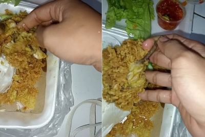 Heboh Ayam Geprek dari Daging Tikus Viral di TikTok, Begini Klarifikasi Penjual