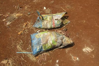Penampakan Lahan Penimbunan Sembako Bansos di Depok, Pemilik Lahan Ungkap Hal Ini!