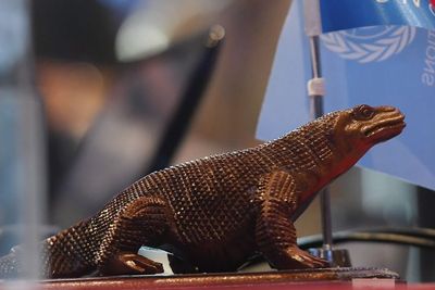 Tiket Masuk Komodo Naik Untungkan Operator Mapan dan Mematikan Pelaku Wisata Kecil