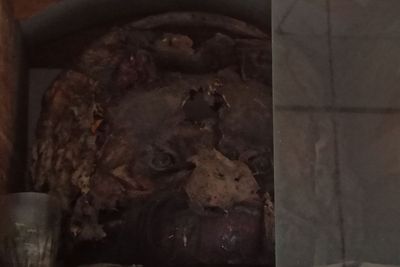 Kisah Manusia Jadi-jadian, Gagal Jadi Macan Malah Jadi Barong Reog Ponorogo