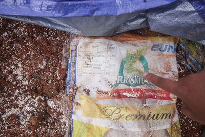 Pemilik Lahan Kuburan Beras Bansos di Depok Sebut JNE 9 Tahun Tak Bayar Sewa