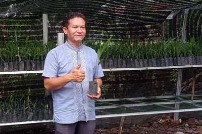 Promosi Lewat TikTok, Juragan Jahe Merah Sukses Cuan Rp80 Juta Sebulan!