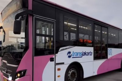 Cegah Pelecehan Seksual, Transjakarta Hadirkan Bus Pink Khusus untuk Perempuan