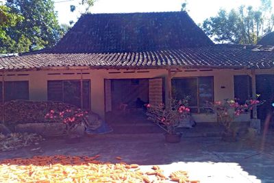 Tak Ada Satu Pun Rumah Hadap ke Utara di Dusun Ini, Nekat Melanggar Bisa Mati Mendadak!