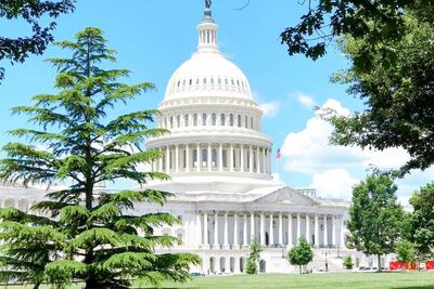 5 Spot Wajib Dikunjungi saat Liburan ke Washington DC, Apa Saja?
