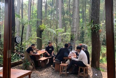 Adem Banget! Di Tengah Kota Tapi Ada Hutan, Bisa Ngopi Sambil Healing