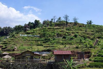 Di Tengah Sawah Ada Kolam dan Taman Sekeren Ini, Tiket Masuknya Bikin Tercengang!