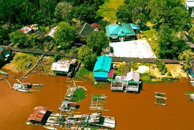Mengintip Desa Tampelas di Dekat Calon IKN, Surganya Ikan Gabus Kaya Manfaat