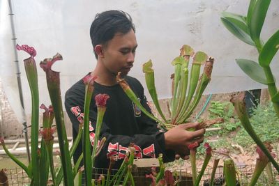 Ada Tanaman Karnivora Tumbuh Subur di Rumah Warga Madiun, Harganya Capai Jutaan Rupiah
