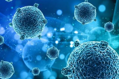 Waduh! Virus Polio yang Mematikan Muncul Kembali di 3 Negara Kaya, Vaksinasi Digencarkan