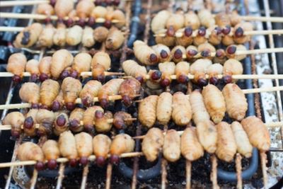 Viral! Challenge Makan Ulat Sagu yang Ternyata Banyak Manfaatnya, Jangan Takut Dulu!