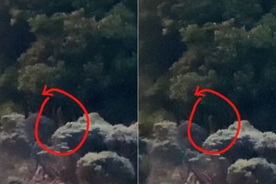Lagi Asik Mendaki Gunung Papandayan, Para Pendaki Tak Sengaja Rekam Penampakan Kuntilanak