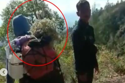 Viral Rombongan Pendaki Nekat Petik Edelweis dan Cuek saat Ditegur, Netizen: Blacklist!