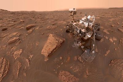 Gak Disangka, Tanaman Ini Ternyata Bisa Tumbuh di Planet Mars Lho!