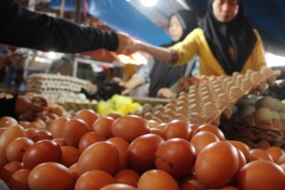 Kritik Zulhas, IKAPPI: Mendag Harusnya Dorong Harga Telur Turun