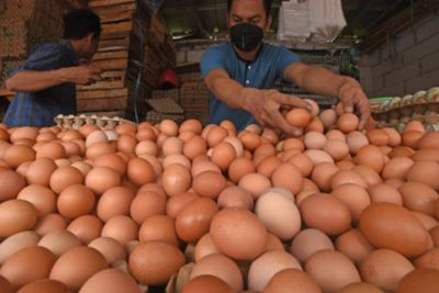Harga Telur Naik, Wagub DKI Jakarta Sebut karena Faktor Cuaca