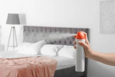 Heboh Tips Kamar Wangi Low Budget, Publik Sebut Cara yang Membagongkan!