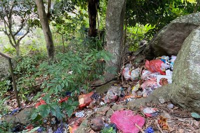 Jorok! Kuburan Kuno di Tebing Enrekang Banyak Sampah, Situs Budaya Kok Ditelantarkan?