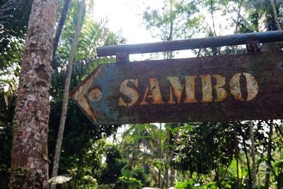 Dusun Sambo Dikaitkan dengan Pembunuhan Brigadir Yosua, Jawaban Sekdes Tak Terduga