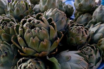 Ajaib! Sayuran Ini Bisa Meledak saat Dipotong, Konon Ada Hubungan dengan Kutukan