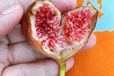 Disebutkan dalam Al-Qur an, Buah Tin Dijual di Supermarket Amerika, Harganya Luar Biasa!