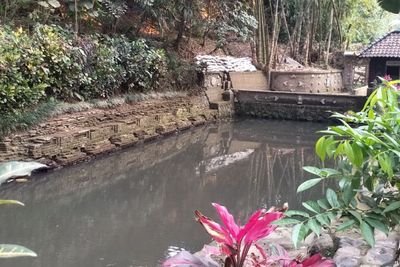 Tempat Ken Dedes Mandi Dipercaya Bikin Cantik dan Awet Muda, Sayang Tempatnya Gak Terawat