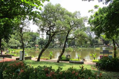 Ini Loh Taman Kota Tertua di Jakarta, Tempat Jogging Favoritnya Sosialita Ibu Kota