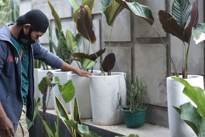 Gegara Pandemi, Fotografer Terkenal Ini Cuan Puluhan Juta dari Jualan Pot Kekinian