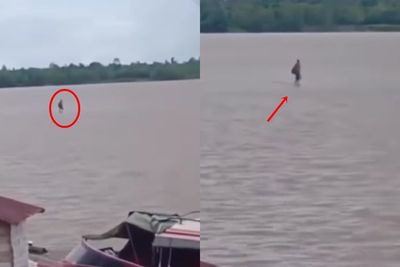 Geger Penampakan Pria Berjalan di Atas Air, Netizen Syok & Minta Penjelasan Pesulap Merah